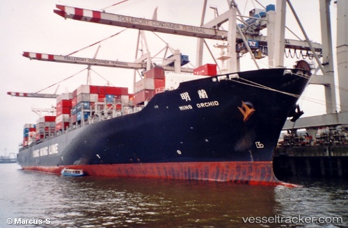 vessel Ym Orchid IMO: 9198276, Container Ship

