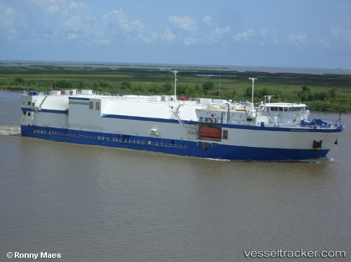vessel Delta Mariner IMO: 9198501, Ro Ro Cargo Ship
