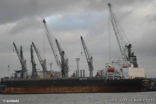 vessel Sophia Ocean IMO: 9199830, Bulk Carrier
