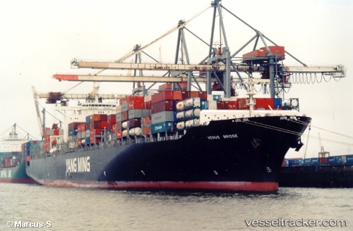 vessel Ym Pine IMO: 9203631, Container Ship

