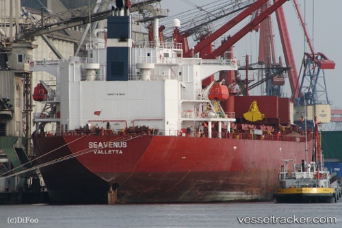 vessel Seavenus IMO: 9205940, Bulk Carrier
