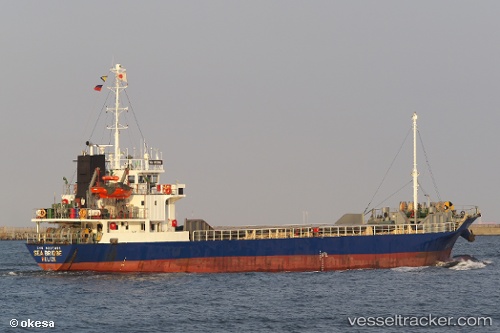 vessel Sea Bridge IMO: 9207481, General Cargo Ship
