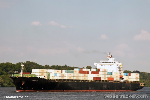 vessel Sarvin IMO: 9209348, Container Ship
