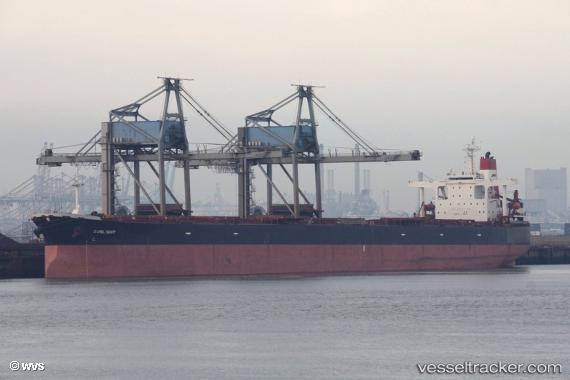 vessel Sunlight IMO: 9217759, Bulk Carrier
