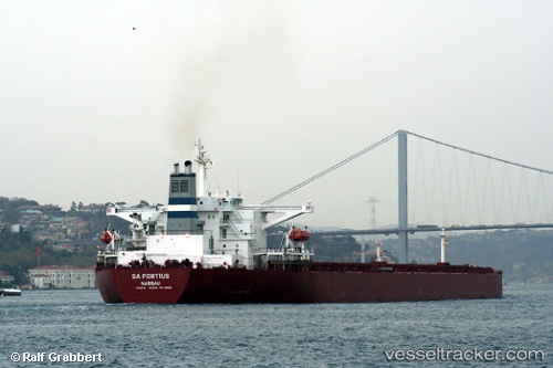 vessel Sunny Voyager IMO: 9221217, Bulk Carrier
