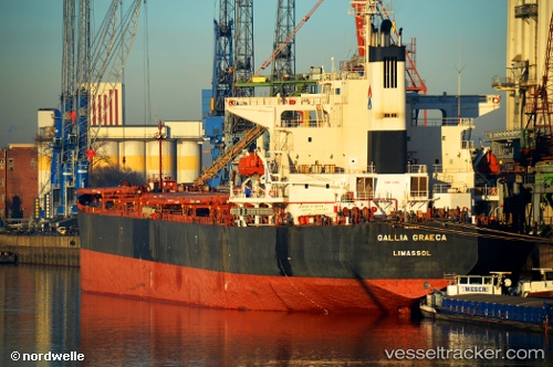vessel XIANGMING IMO: 9221607, Bulk Carrier