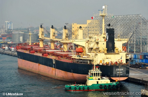 vessel Asian Wisdom IMO: 9224659, Bulk Carrier
