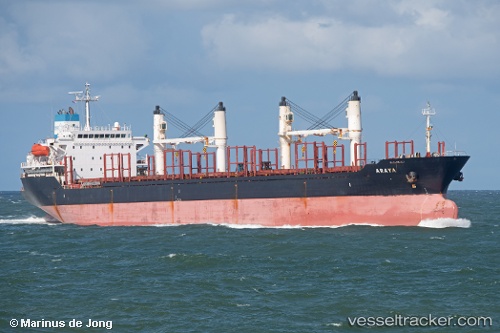 vessel Araya IMO: 9224843, Bulk Carrier
