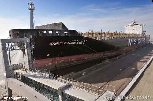 vessel Msc Flaminia IMO: 9225615, Container Ship
