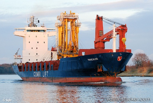 vessel '613003759' IMO: 9226695, 