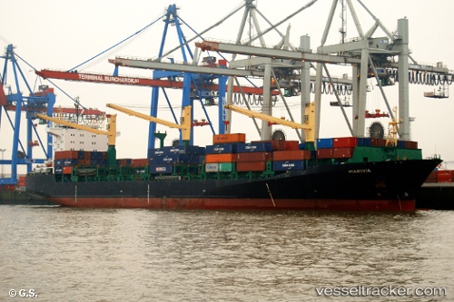 vessel MSC NILA II IMO: 9228576, Container Ship