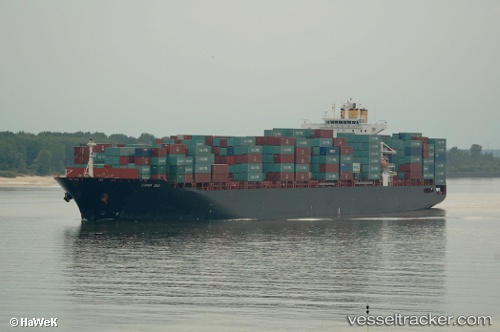 vessel MSC HONG KONG IMO: 9231810, Container Ship