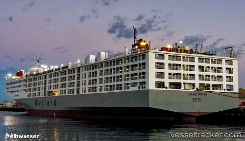 vessel Ocean Drover IMO: 9232852, Livestock Carrier
