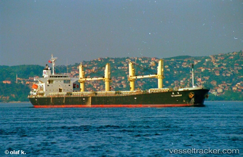 vessel LOFTY MOUNTAIN IMO: 9233428, Bulk Carrier