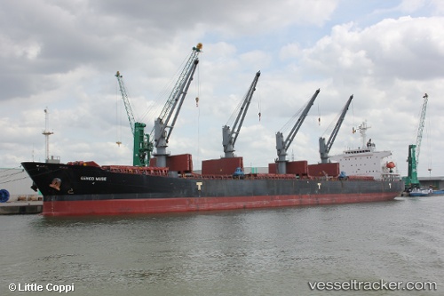 vessel Lotus IMO: 9234214, Bulk Carrier
