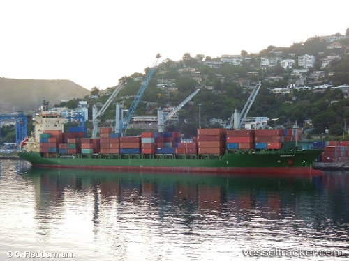 vessel MSC EMILY II IMO: 9236444, Container Ship