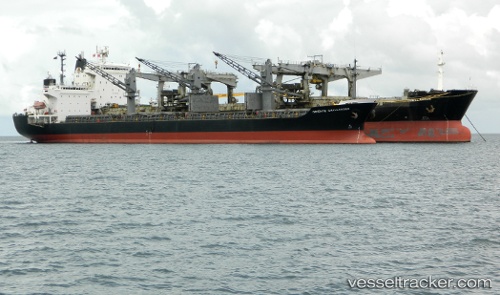 vessel Tan Binh 134 IMO: 9236858, Bulk Carrier
