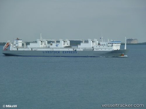 vessel Brahman Express IMO: 9238416, Livestock Carrier
