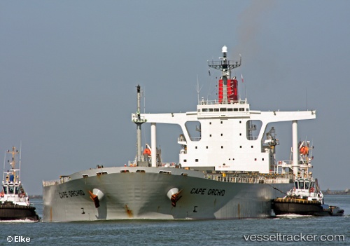 vessel Cape Orchid IMO: 9238571, Bulk Carrier
