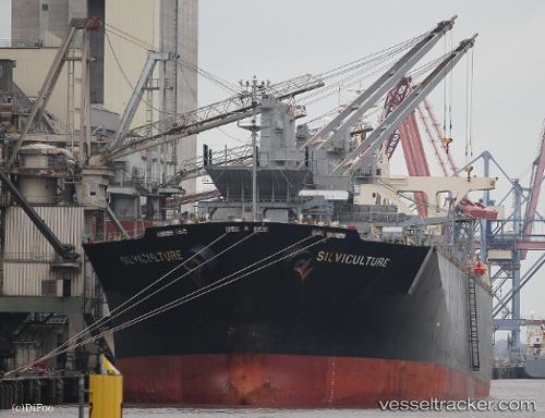 vessel Silviculture IMO: 9238595, Wood Chips Carrier
