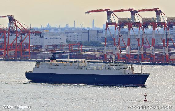 vessel Shin Zui Maru IMO: 9238935, Ro Ro Cargo Ship
