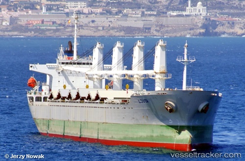 vessel True Brother IMO: 9243693, Bulk Carrier