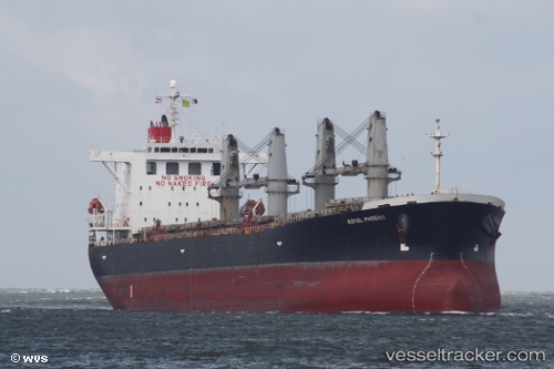 vessel Bulk Newport IMO: 9244611, Bulk Carrier
