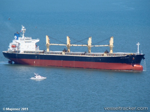 vessel Nur Allya IMO: 9245237, Bulk Carrier
