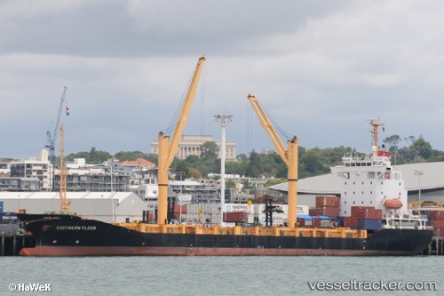 vessel Sunny Dahlia IMO: 9247297, Container Ship
