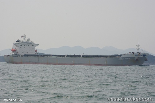 vessel ANGELIC PEACE IMO: 9250177, Bulk Carrier