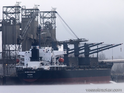 vessel Hibiscus IMO: 9250581, Bulk Carrier
