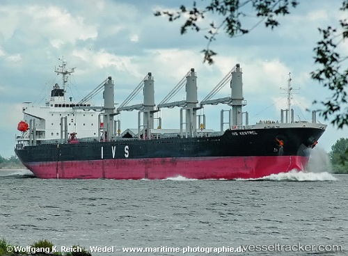 vessel Gold River IMO: 9251078, Bulk Carrier
