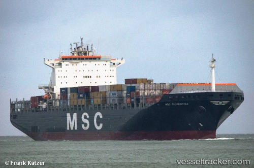 vessel Msc Florentina IMO: 9251705, Container Ship
