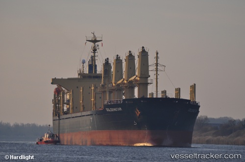 vessel Golden Destiny IMO: 9252046, Bulk Carrier
