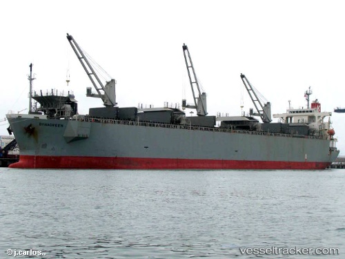 vessel Dynagreen IMO: 9253844, Wood Chips Carrier
