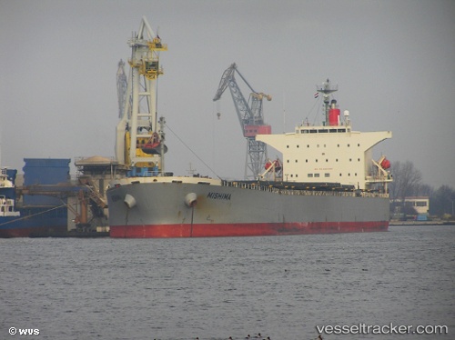vessel Pictor IMO: 9254563, Bulk Carrier
