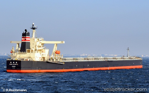 vessel Winning Sea IMO: 9254678, Bulk Carrier
