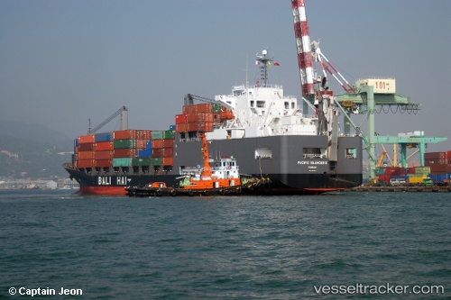 vessel Pacific Islander 2 IMO: 9255921, General Cargo Ship
