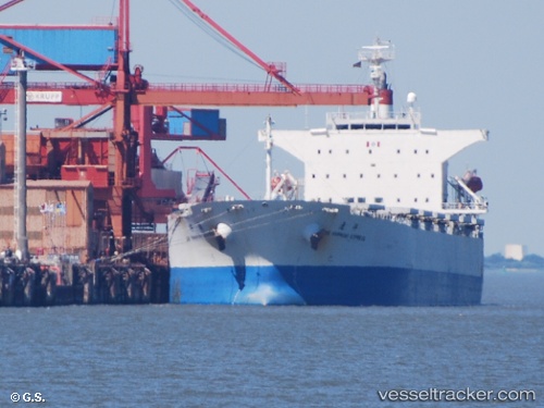 vessel Dooyang Jeju IMO: 9257797, Bulk Carrier
