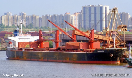 vessel Tamarack IMO: 9261970, Bulk Carrier
