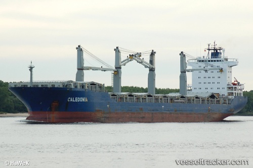 vessel MSC CALEDONIA II IMO: 9262546, General Cargo Ship
