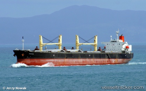 vessel Ocean Hiryu IMO: 9263265, Bulk Carrier

