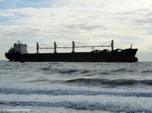 vessel Bluebill IMO: 9263306, Bulk Carrier
