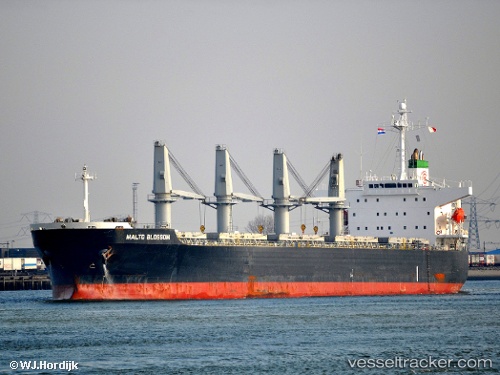vessel ASIAN PEARL IMO: 9266176, Bulk Carrier