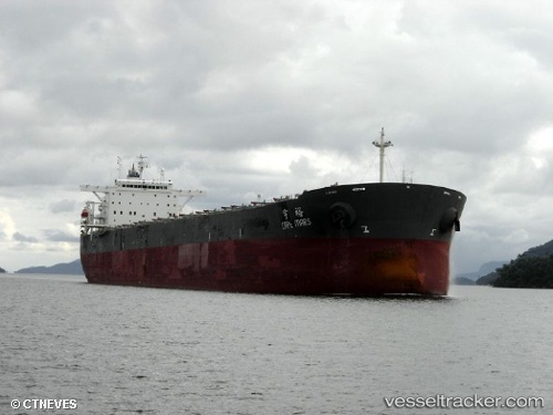 vessel 636020565 IMO: 9268796, 