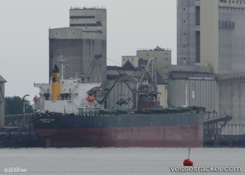 vessel Panstellar IMO: 9272943, Bulk Carrier
