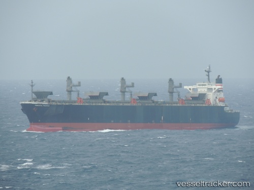 vessel Forestal Pacifico IMO: 9275488, Wood Chips Carrier
