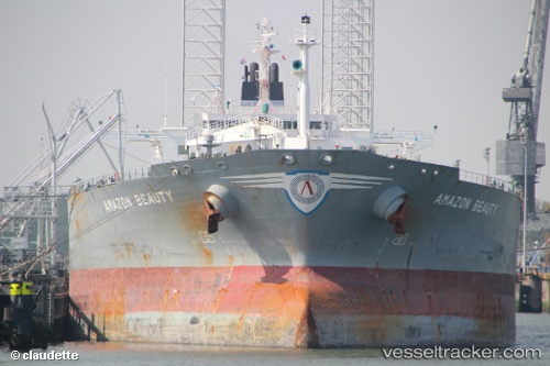 vessel Amazon Beauty IMO: 9275969, Oil Products Tanker
