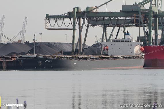 vessel Cetus IMO: 9276482, Bulk Carrier
