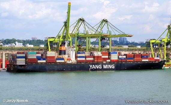 vessel Ym Wealth IMO: 9278088, Container Ship
